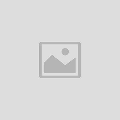 Virtual Reality (VR) Headsets